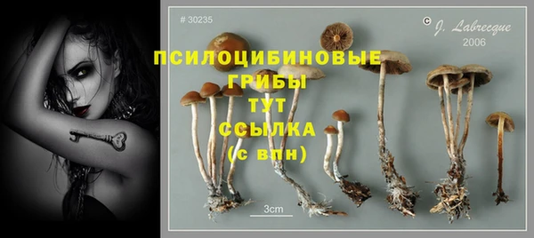 соль курить ск Кинешма