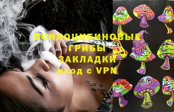 эйфоретик Касимов