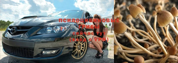 эйфоретик Касимов